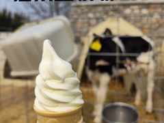 -君乐宝优致牧场