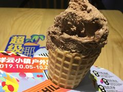 -野人先生现做冰淇淋(北京顺义祥云小镇店)