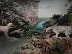 -湖南省地质博物馆