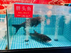 -肖记公安牛肉鱼杂馆·省级非物质文化遗产(崇仁路江滩直营店)
