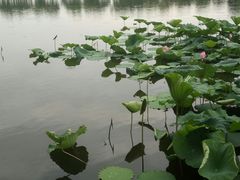 -渔集晓院·非遗湖北菜(东湖省博店)
