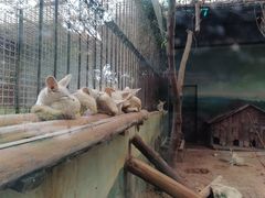 -昆明动物园