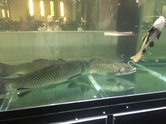 -北海金昌开元名都大酒店·四季轩中餐厅