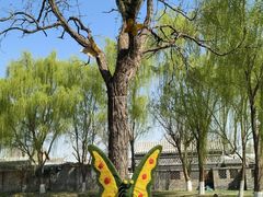 -三里河公园