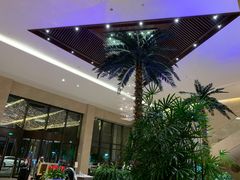 -常州环球恐龙城维景国际大酒店