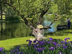 -上海共青森林公园