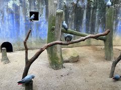 -杭州野生动物世界