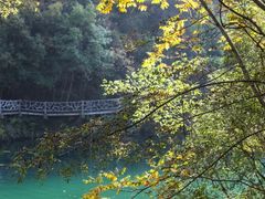 -郧西五龙河风景区