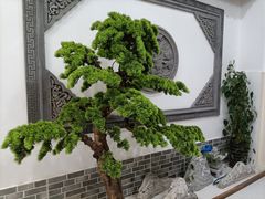 -呼吸森林·生态农庄农家乐私房菜