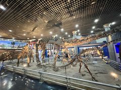 -国家自然博物馆