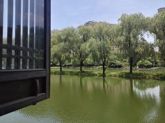 -阮氏酒家(柯桥店)
