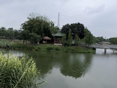 -王借岗森林公园