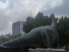 -河南自然博物馆
