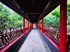 -南汇桃花村