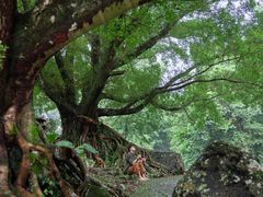 -广州市石门国家森林公园