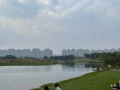 -洋湖国家湿地公园