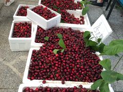 -恒达综合农贸市场(黄山路店)