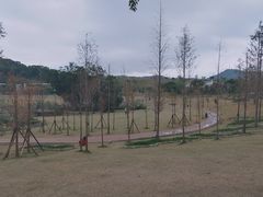 -牛岗山公园