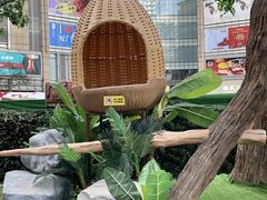 -顺风海鲜港(金玉兰店)