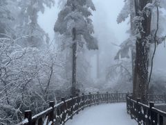 -瓦屋山景区