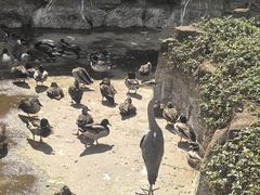 -海南热带野生动植物园
