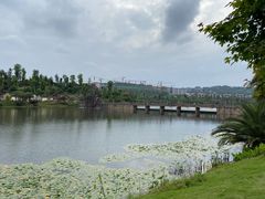 -枫香湖儿童公园