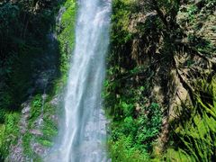 -莫里热带雨林景区
