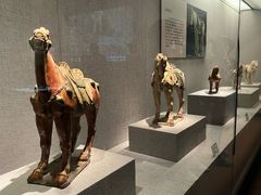 -洛阳古墓博物馆