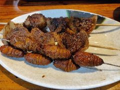 -丹东特色烤肉(学府路一部店)