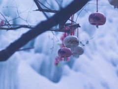 -黑龙潭风景区