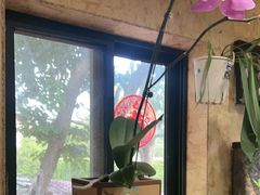 -Rabbit Cafe私房西餐甜点咖啡(栖霞路店)