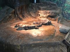 -上海昆虫博物馆