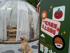 -海底捞火锅(漕宝路店)