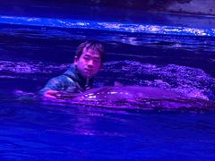 -华夏文旅海洋公园