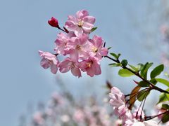-闵行体育公园(七宝镇)