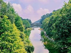 -广州市帽峰山景区