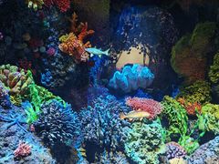 -中国湿地博物馆