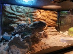 -酷嗒动物文化乐园(cutezoo西溪乐天城店)