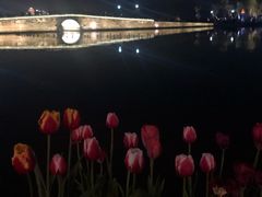 -陳八两面家(滨江天街店)