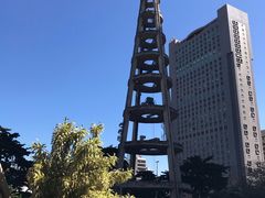 -里约热内卢主教座堂