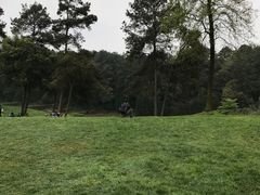 -保利石象湖景区
