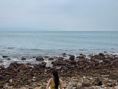 -杨梅坑