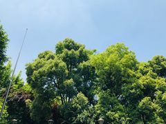 -杭百味·大众精选杭帮菜(西湖音乐喷泉店)