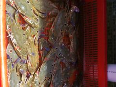 -巽寮印象美食部落餐厅·海鲜·地方特色菜(惠州体验店)