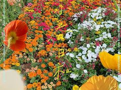 -深圳仙湖植物园