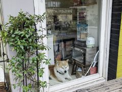 -餐酒吧Com-ing Bar(上海路店)