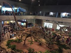 -自贡恐龙博物馆