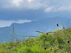-灵山