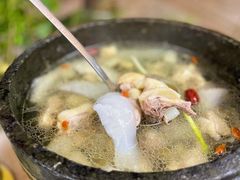墨脱石锅椰子鸡-墨脱石锅椰子鸡•海鲜糟粕醋(榆亚路店)