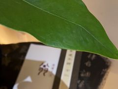-翁暖茶馆(滨江东总店)